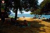 Rovinj Villas Rubin Resort beach Pine tree shadow